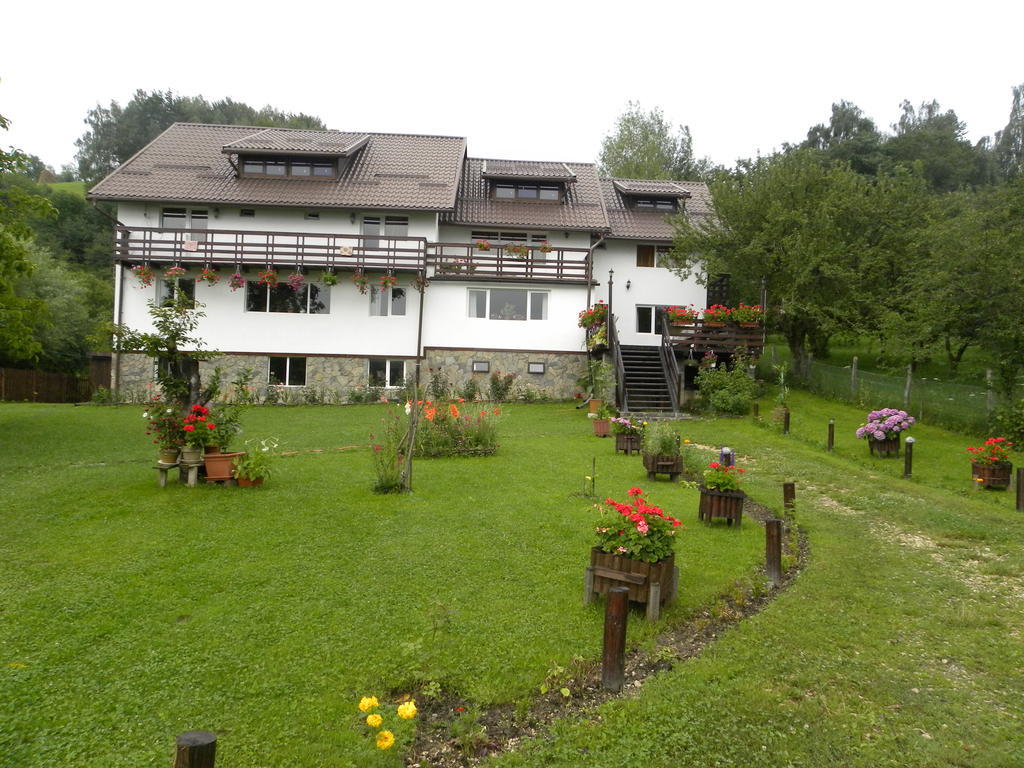 Pensiunea Cerbul Carpatin Bran  Exterior foto