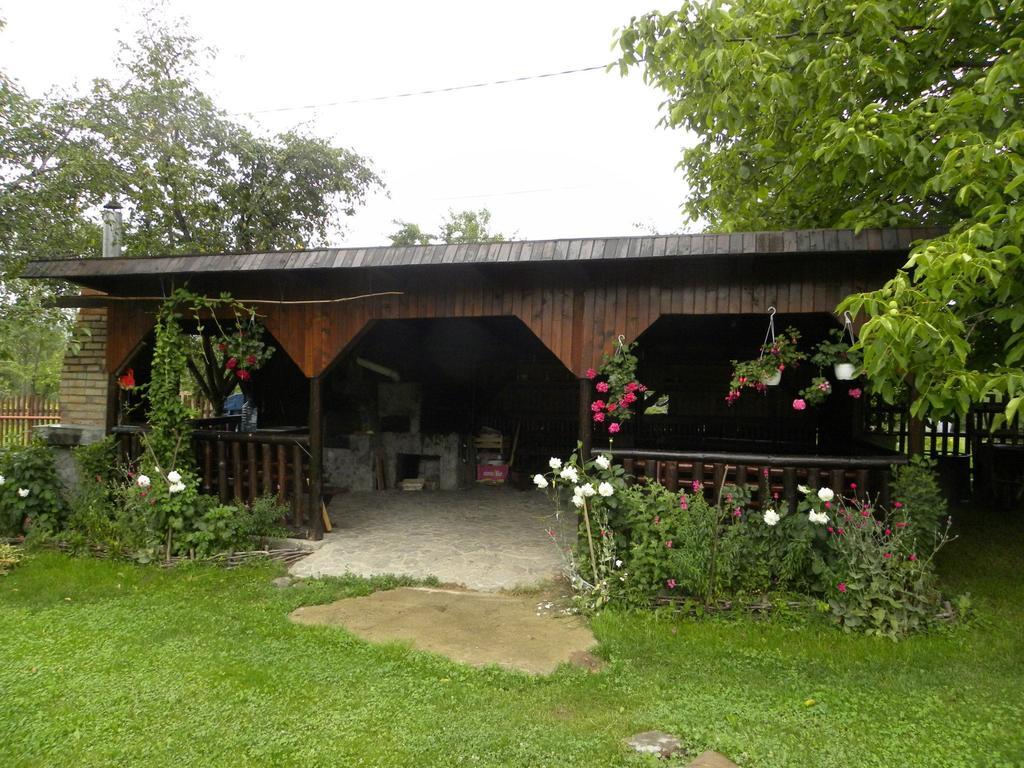 Pensiunea Cerbul Carpatin Bran  Exterior foto
