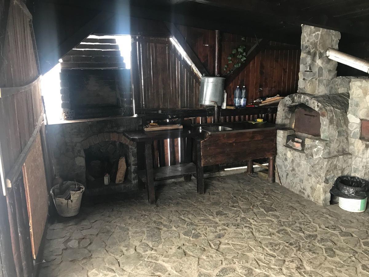 Pensiunea Cerbul Carpatin Bran  Exterior foto